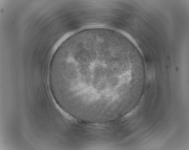 X0000076391245200610271545