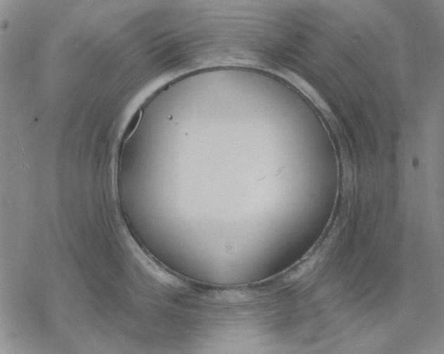 X0000076391246200610271545