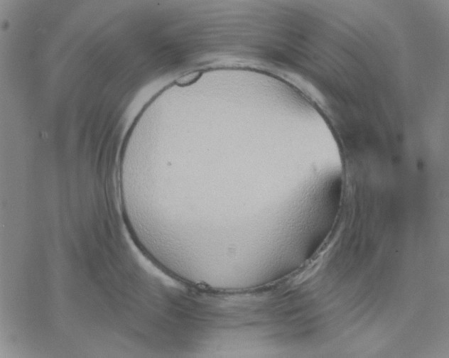 X0000076391247200610271545