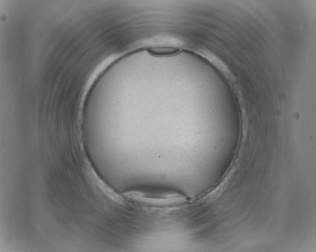 X0000076391248200610271545