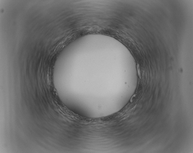 X0000076391250200610271544