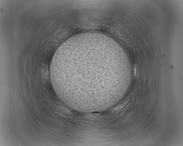 X0000076391251200610271544