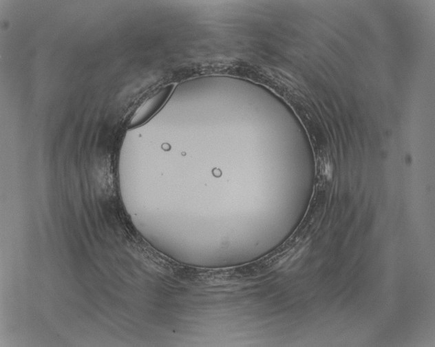 X0000076391252200610271544