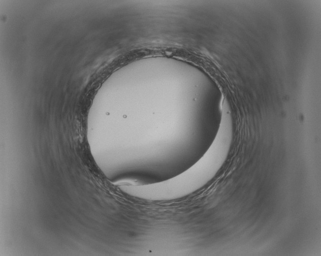 X0000076391253200610271544