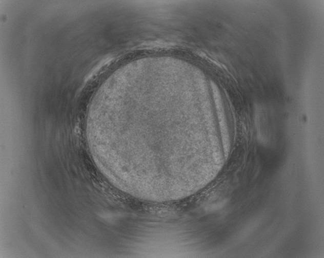 X0000076391254200610271544