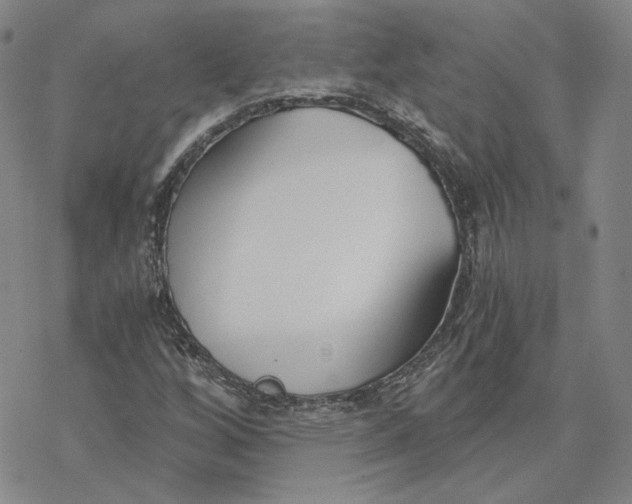 X0000076391256200610271544