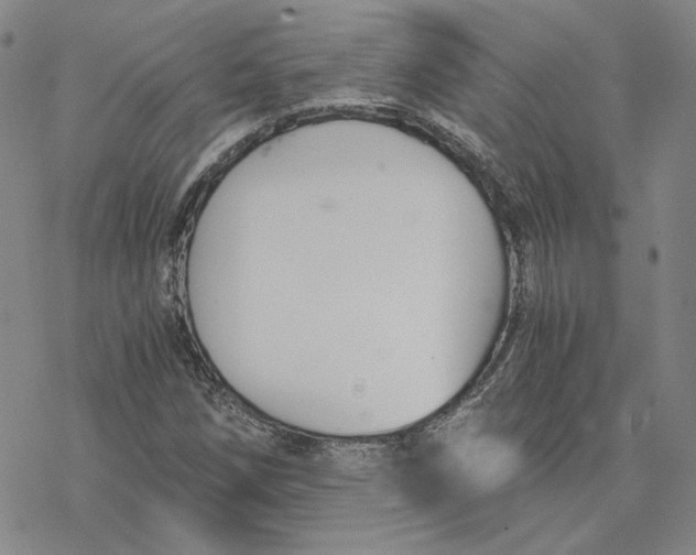 X0000076391258200610271544