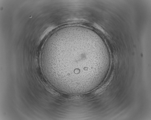 X0000076391259200610271544