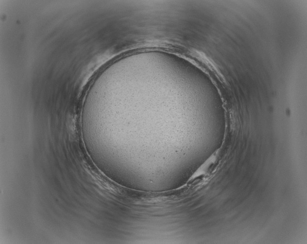 X0000076391260200610271544