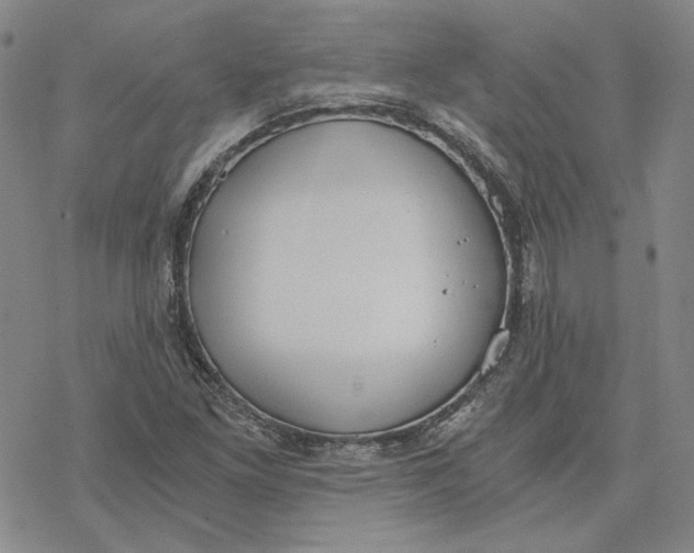 X0000076391261200610271544