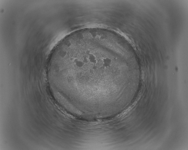 X0000076391263200610271544