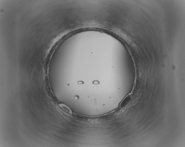 X0000076391264200610271544