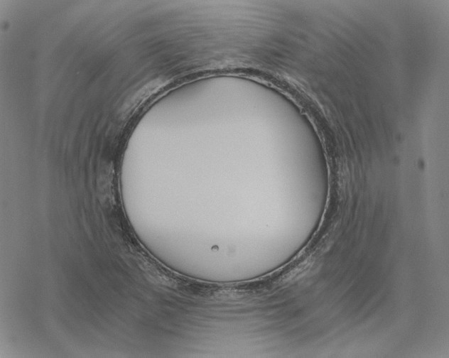 X0000076391265200610271544