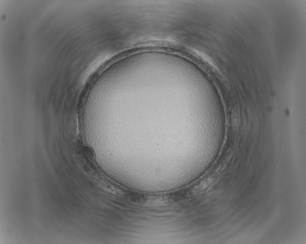 X0000076391267200610271544