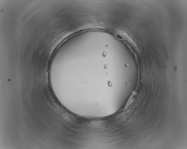 X0000076391268200610271544