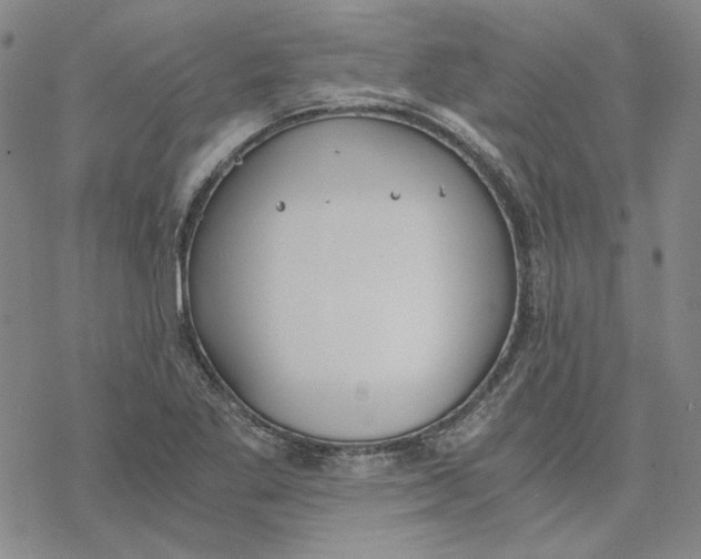 X0000076391269200610271544