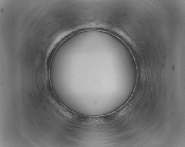 X0000076391270200610271544