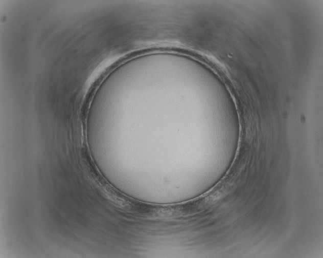 X0000076391271200610271544