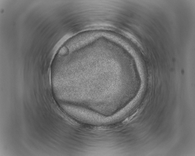 X0000076391275200610271544