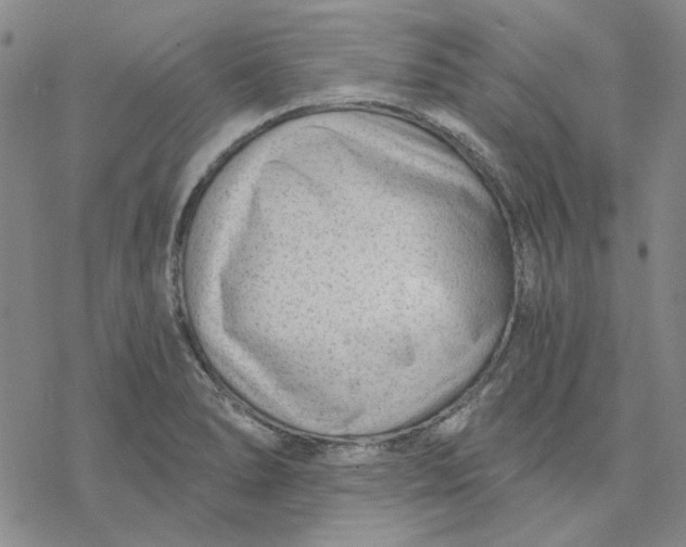 X0000076391278200610271544