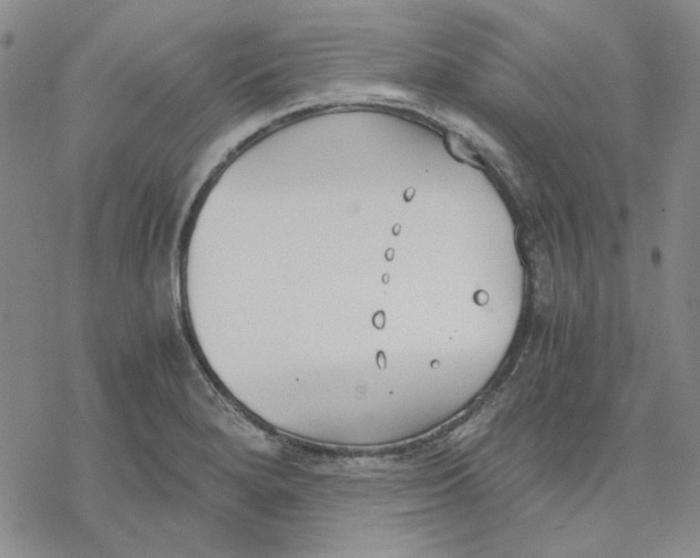 X0000076391280200610271544