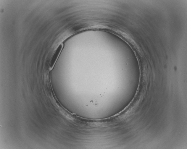 X0000076391281200610271544