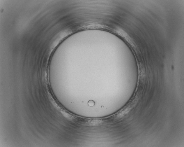 X0000076391282200610271544