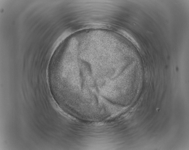 X0000076391283200610271544