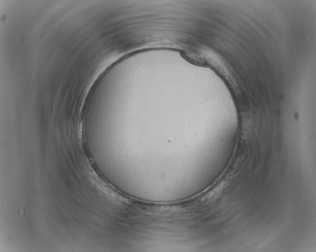 X0000076391284200610271544