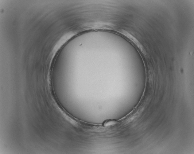 X0000076391285200610271544