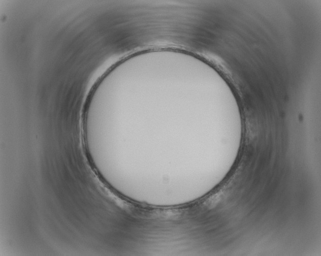 X0000076391286200610271544