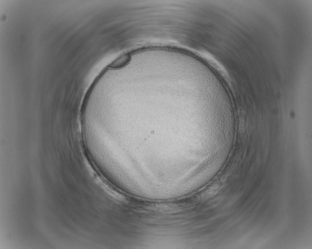 X0000076391287200610271544