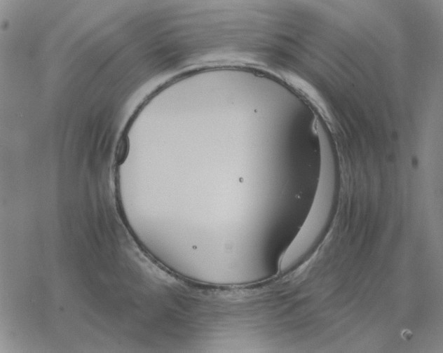 X0000076391288200610271544