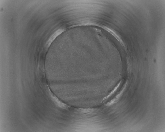 X0000076391289200610271544