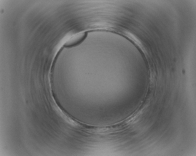 X0000076391291200610271543