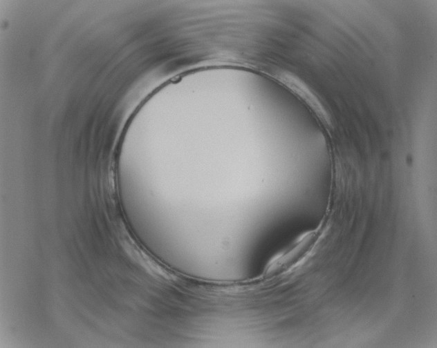 X0000076391292200610271543