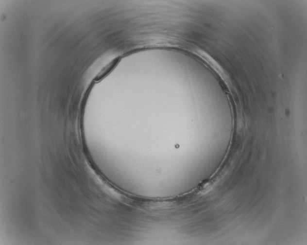 X0000076391293200610271543