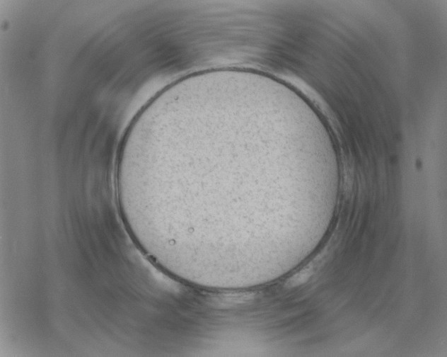 X0000076391294200610271543