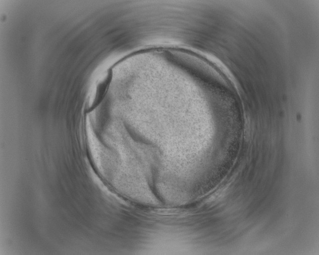 X0000076391295200610271543