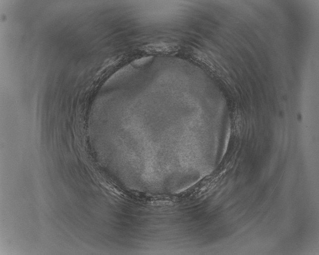 X0000076391297200610271543