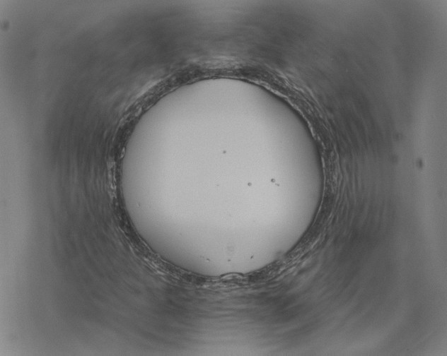 X0000076391301200610271543