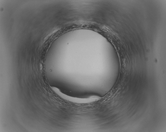 X0000076391302200610271543