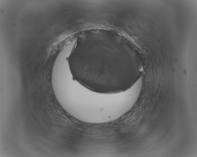 X0000076391303200610271543