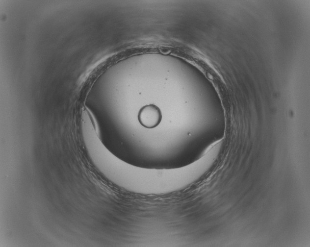 X0000076391304200610271543