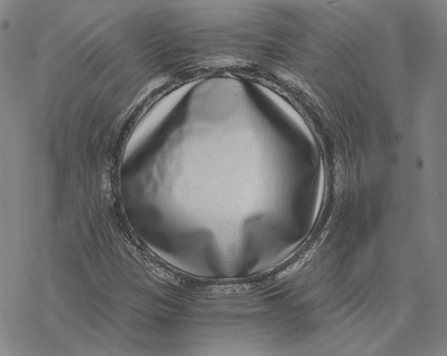 X0000076391305200610271543