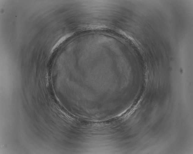 X0000076391306200610271543