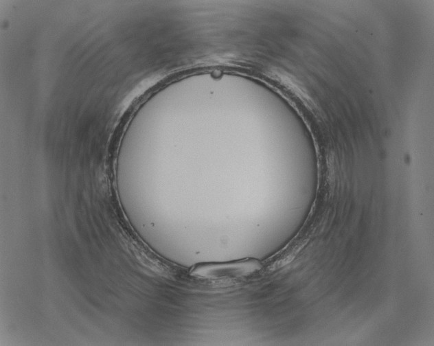 X0000076391308200610271543