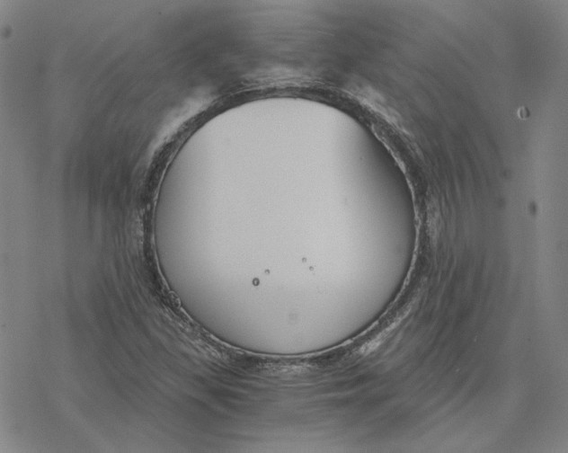 X0000076391309200610271543