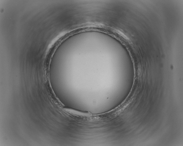 X0000076391310200610271543