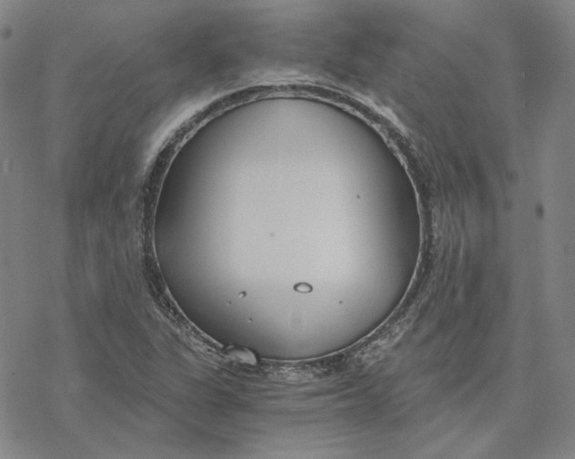 X0000076391311200610271543